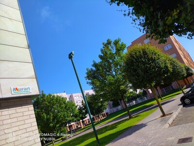 IMG_20210615_181010.jpg