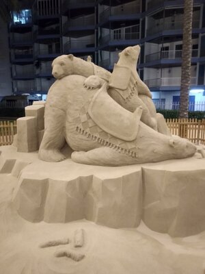 IMG_20211210_201849.jpg