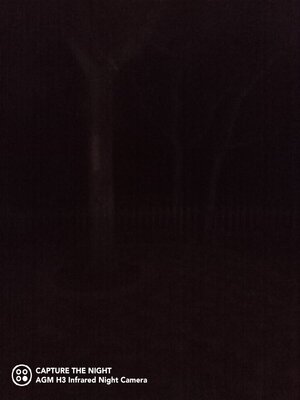 IMG_20220107_211118_079.jpg
