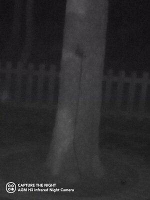 IMG_20220107_211155_103.jpg