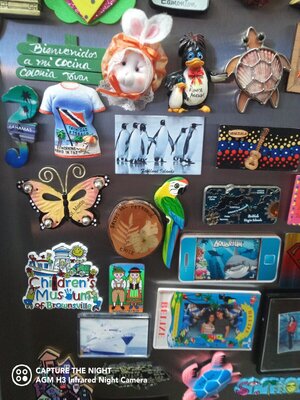 IMG_20220108_153143_542.jpg