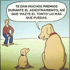FB_IMG_1662377329125.jpg