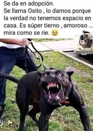 FB_IMG_1662385900780.jpg