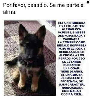 FB_IMG_1666981876494.jpg