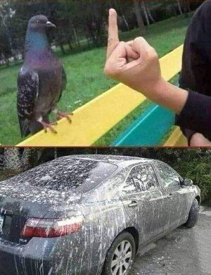 FB_IMG_1668520827591.jpg
