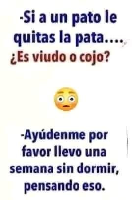 FB_IMG_1674226734666.jpg