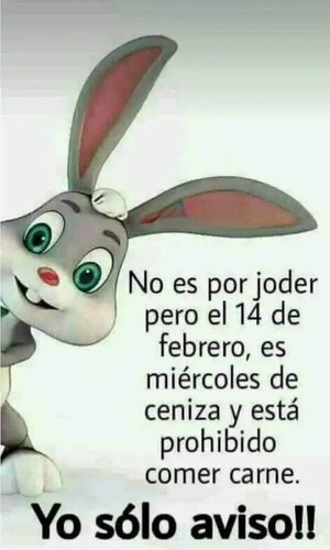 ENERO.jpg
