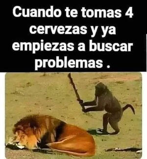 FB_IMG_1679665728266.jpg