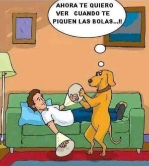 perro.jpg