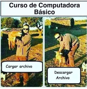 archivo.jpg