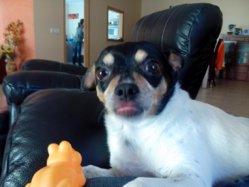 IMG_20121022_145254.jpg