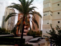 IMG_20121024_160437.jpg