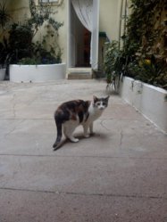 IMG_20121106_120354.jpg