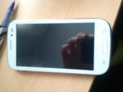 IMG_20121128_131513.jpg