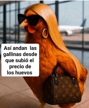 gallina.jpg