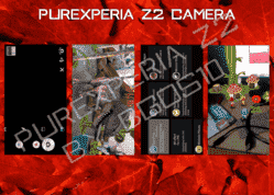 cam2.png