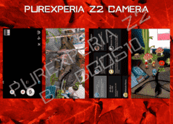 cam2 (1).png