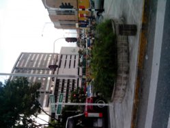 IMG_20121203_152516.jpg