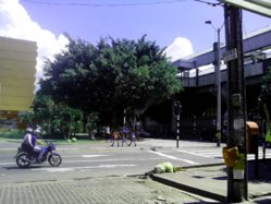 IMG_20121204_123307.jpg