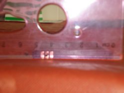 PC230301.jpg