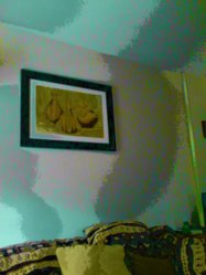 IMG_20130108_141427.jpg