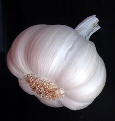 Ajo-ecológico.jpg
