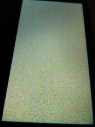 DSCN5429.jpg