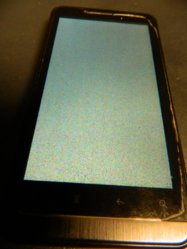DSCN5430.jpg