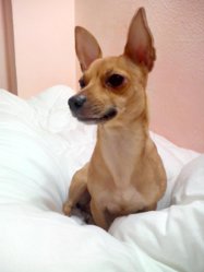 2013-01-07 12.43.35.jpg