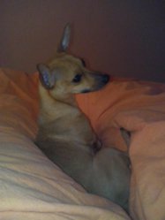 2013-01-08 12.57.51.jpg