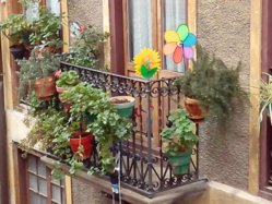 2013-01-05 12.11.34.jpg