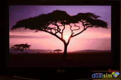 fototv.png