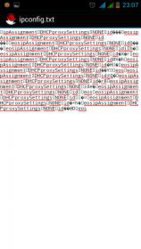 ipconfig respaldado.jpg