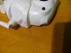 CaFV0087.JPG