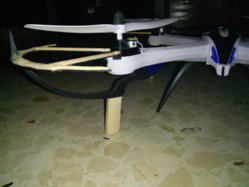 CaFV0114.JPG