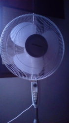IMG_20150730_203449.jpg