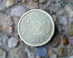 macro.jpg