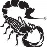 escorpion_javi