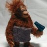alf666666