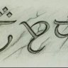 aldushaza01