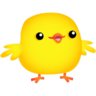 Pollito1114