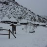 gurdiel1
