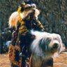 La Gargola