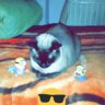 jotateg