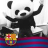 Rodolfo23