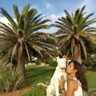 sandra torres