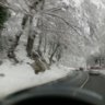 robereto