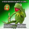 cipo72