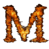 chiqui11