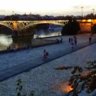 Domarwin